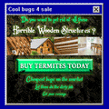 [SPAM] TERMITES TERMITES TERMITES